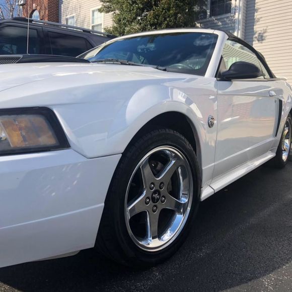 Meet your Posher, Joe - Picture 1 of 1